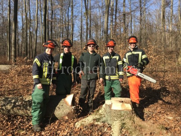Fortbildung Kettensäge